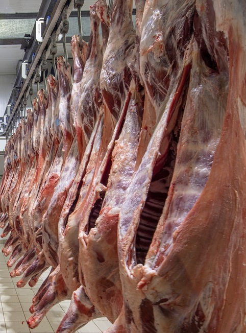 Fresh, chilled and frozen meat products for international buyers